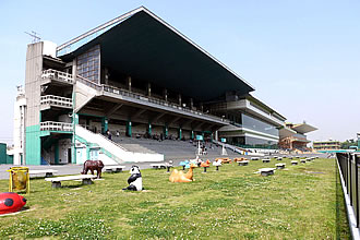 名古屋競馬場