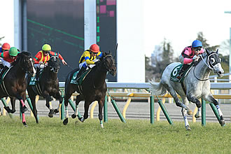 東京新聞杯