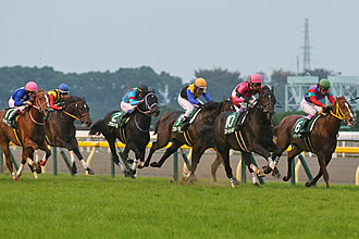 東京スポーツ杯2歳ステークス