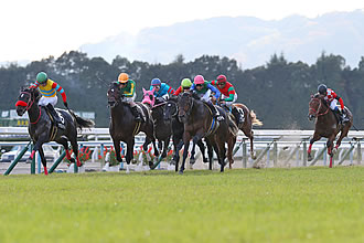 京都2歳ステークス